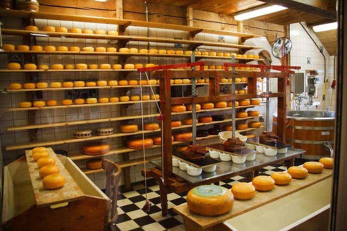 hygiene standards for commercial cheese premisees