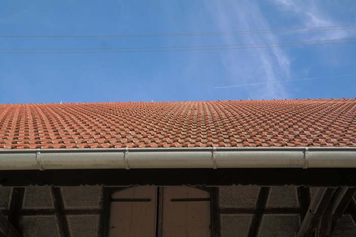 building needing roof maintenance